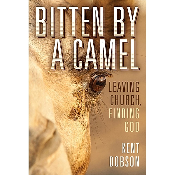 Bitten by a Camel, Kent Dobson