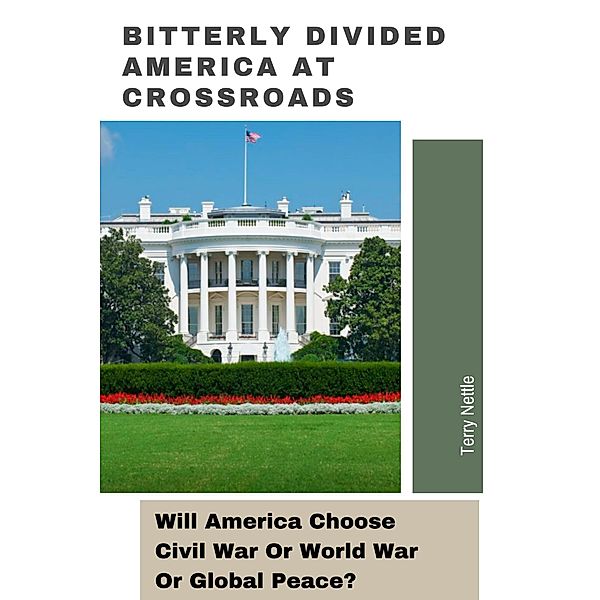 Bitterly Divided America At Crossroads: Will America Choose Civil War Or World War Or Global Peace?, Terry Nettle