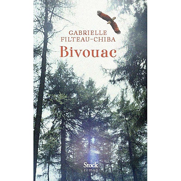 Bivouac / La Bleue, Gabrielle Filteau-Chiba