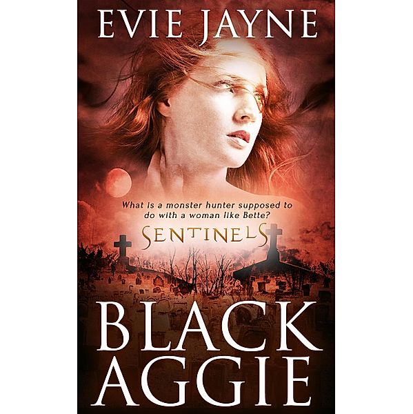 Black Aggie / Sentinels Bd.1, Evie Jayne