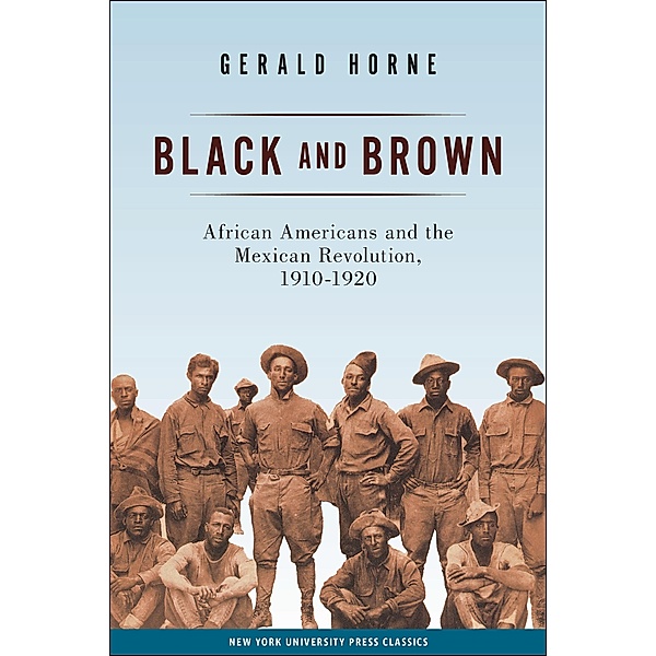 Black and Brown / American History and Culture Bd.9, Gerald Horne
