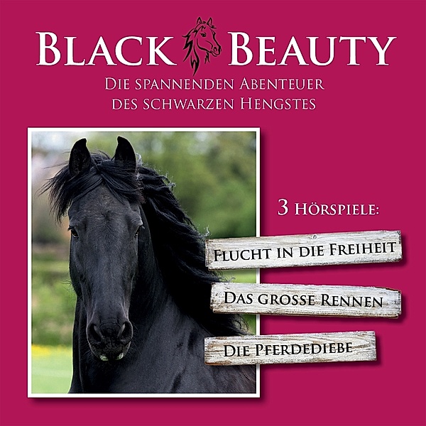 Black Beauty Die Spannenden Abenteuer Des Schwarze, Hannes Seebauer