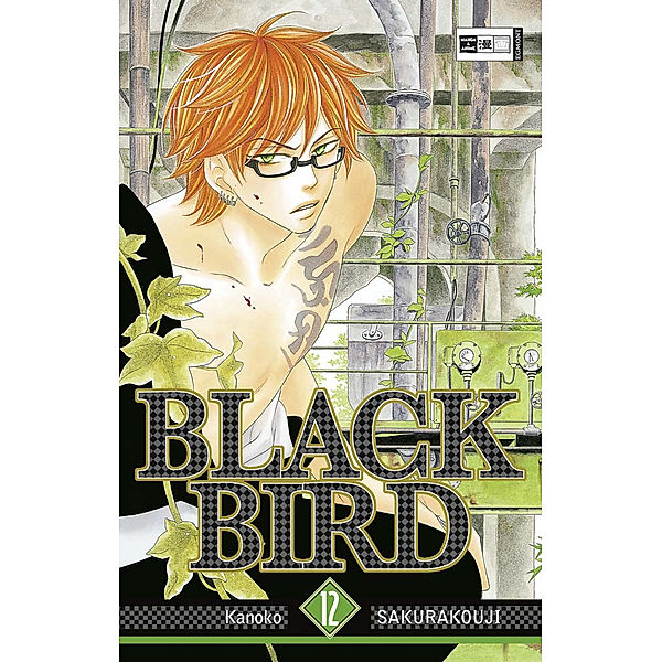 Black Bird Bd.12, Kanoko Sakurakouji