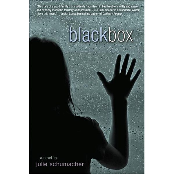 Black Box, Julie Schumacher