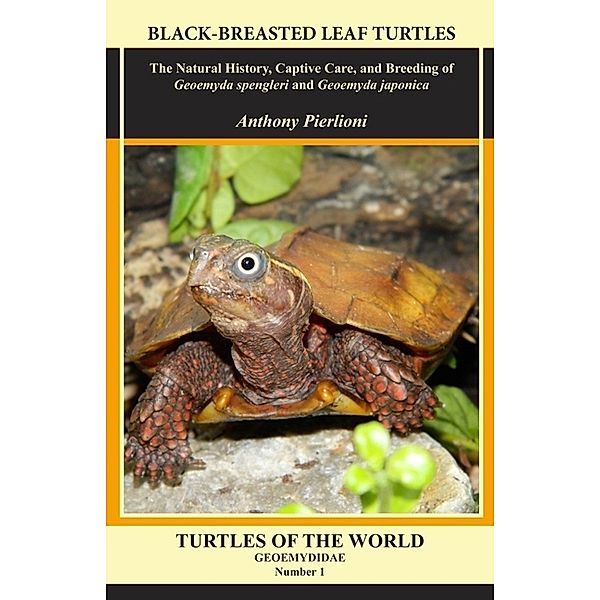 Black-breasted Leaf Turtles, Anthony Pierlioni