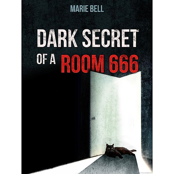 Black Cat in the 666 Room: Suspense, Thriller and Mystery, Sofia King
