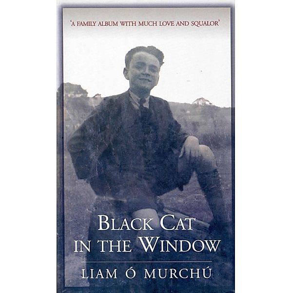 Black Cat in the Window, Liam Ó Murchú
