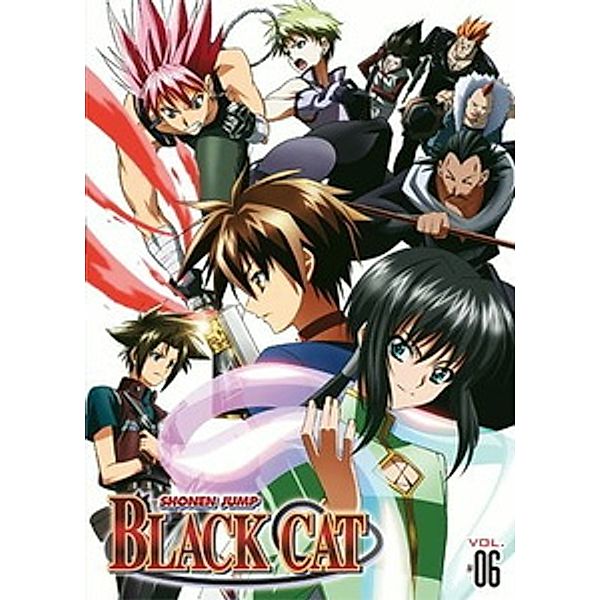 Black Cat, Vol. 6, Anime