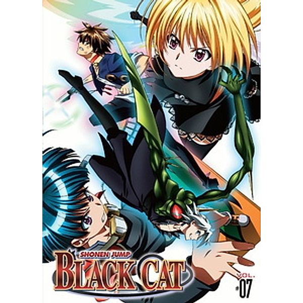 Black Cat, Vol. 7, Anime