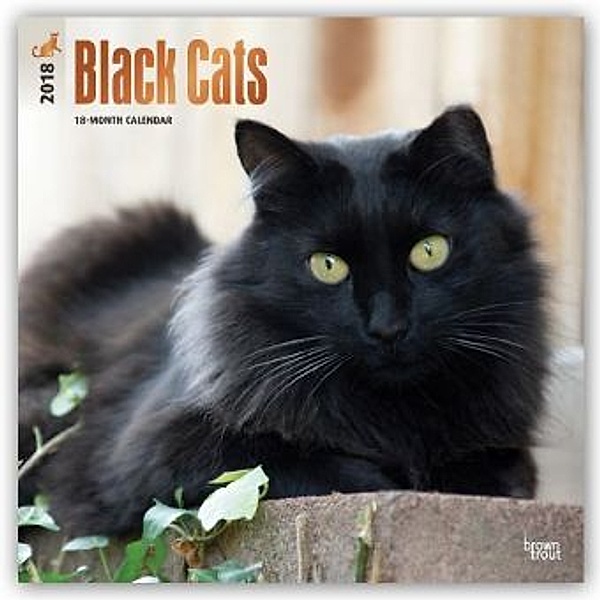 Black Cats - Schwarze Katzen 2018 - 18-Monatskalender, BrownTrout Publisher