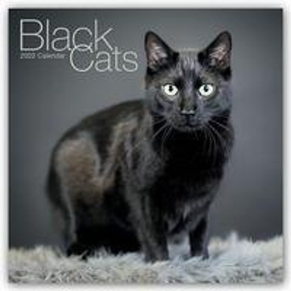 Black Cats - Schwarze Katzen 2022 - 16-Monatskalender, Avonside Publishing Ltd