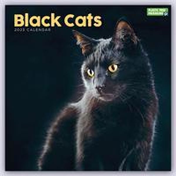 Black Cats - Schwarze Katzen 2023, Carousel Calendar