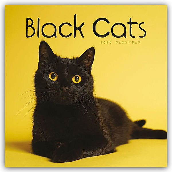 Black Cats - Schwarze Katzen 2025 - Wand-Kalender, Carousel Calendar