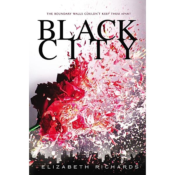 Black City / A Black City Novel Bd.1, Elizabeth Richards