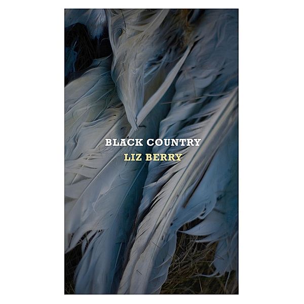 Black Country, Liz Berry