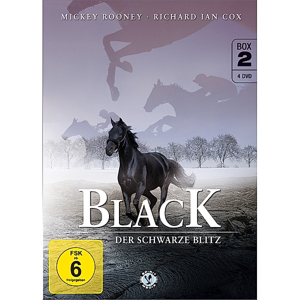 Black, der schwarze Blitz - Box 2, Walter Farley