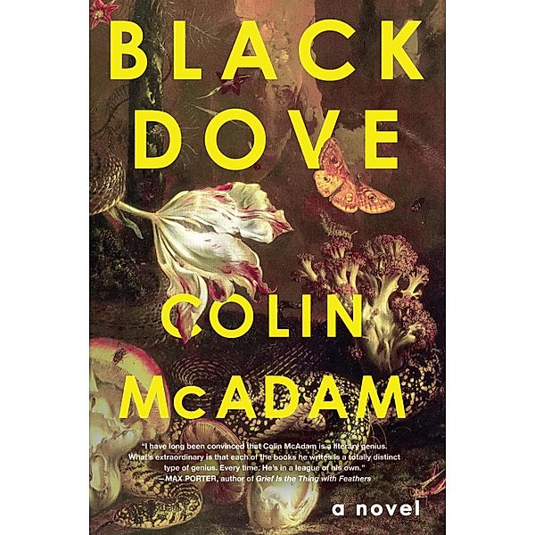 Black Dove, Colin McAdam