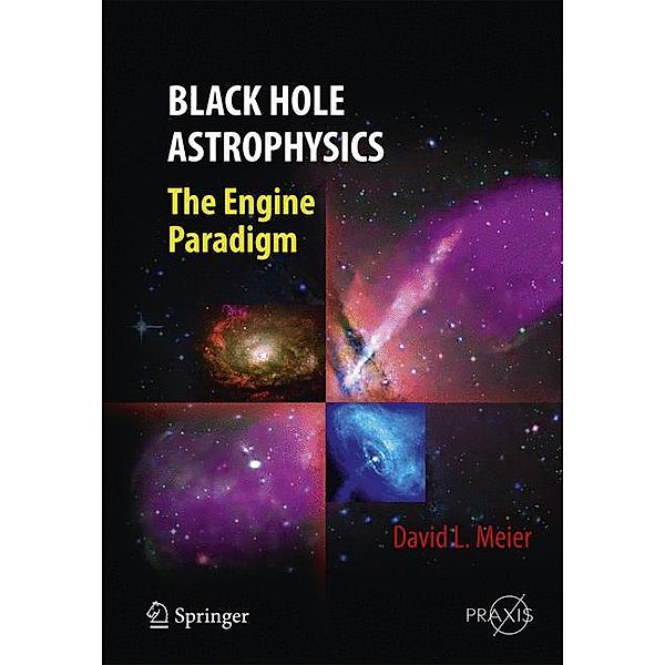 Black Hole Astrophysics, David L. Meier