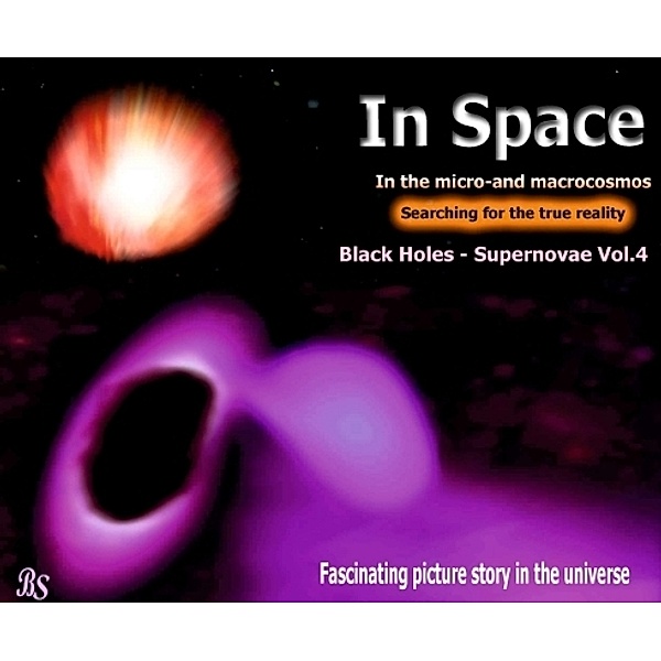 Black holes - Supernovae, Barbara Stein