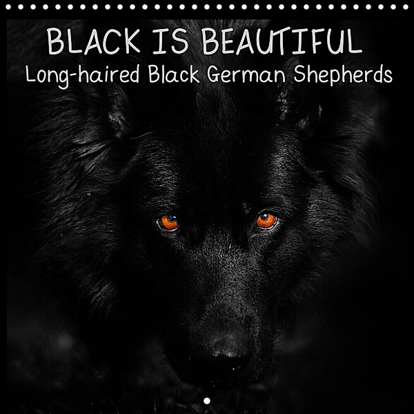 BLACK IS BEAUTIFUL Long-haired Black German Shepherds (Wall Calendar 2023 300 × 300 mm Square), Rena Werz