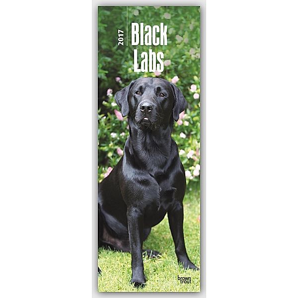 Black Labs 2017