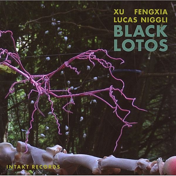 Black Lotos, Fengxia Xu, Lucas Niggli