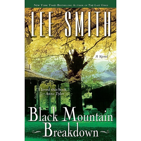 Black Mountain Breakdown, Lee Smith