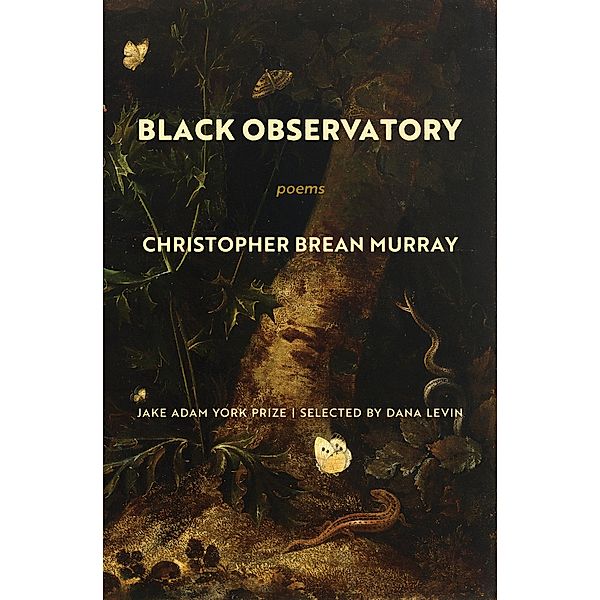 Black Observatory, Christopher Brean Murray