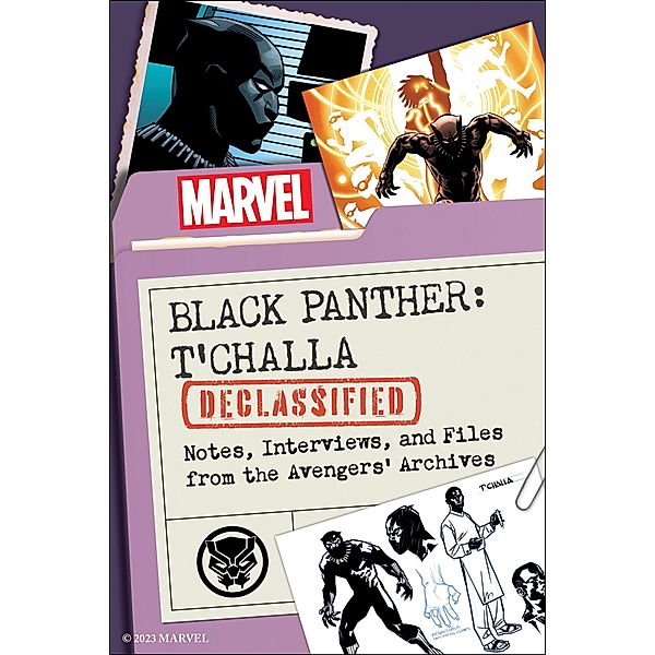 Black Panther: T'Challa Declassified, Maurice Broaddus, Marvel Comics