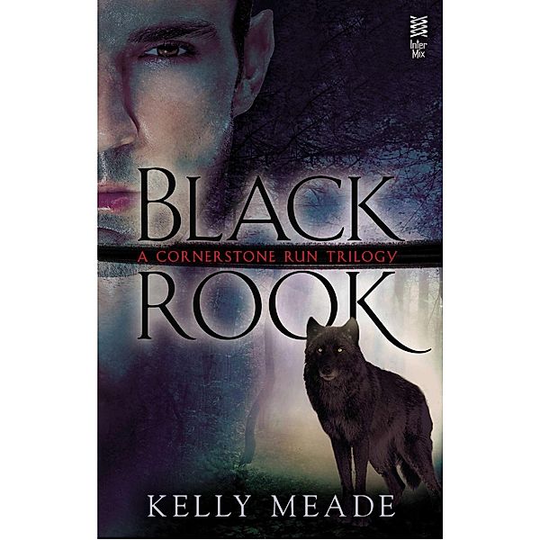 Black Rook / A Cornerstone Run Trilogy Bd.1, Kelly Meade