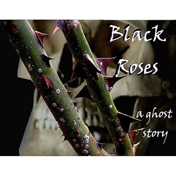 Black Roses: a ghost story, Vince Stadon