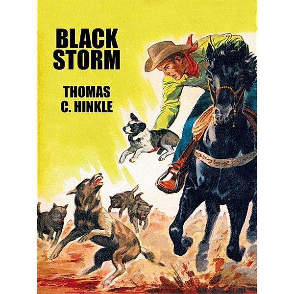Black Storm / Wildside Press, Thomas C. Hinkle