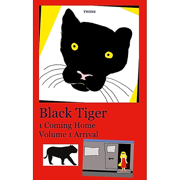 Black Tiger 1 Coming Home / Black Tiger Bd.1, Twins