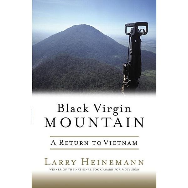 Black Virgin Mountain, Larry Heinemann