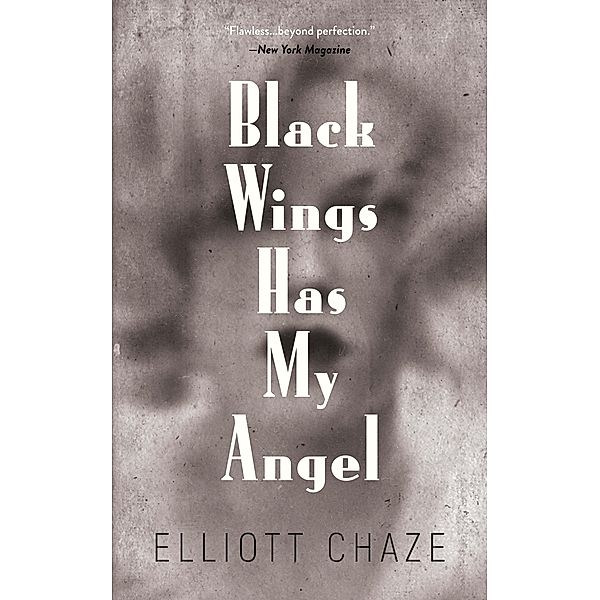 Black Wings Has My Angel, Elliott Chaze