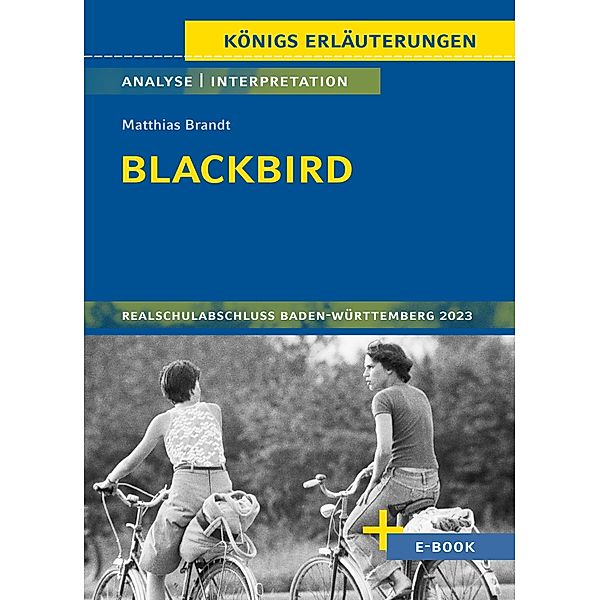 Blackbird von Matthias Brandt - Textanalyse und Interpretation, Sabine Hasenbach