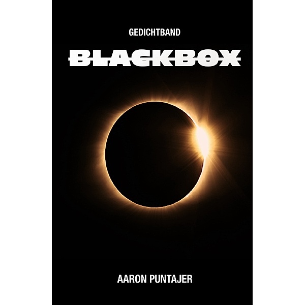 Blackbox, Aaron Puntajer