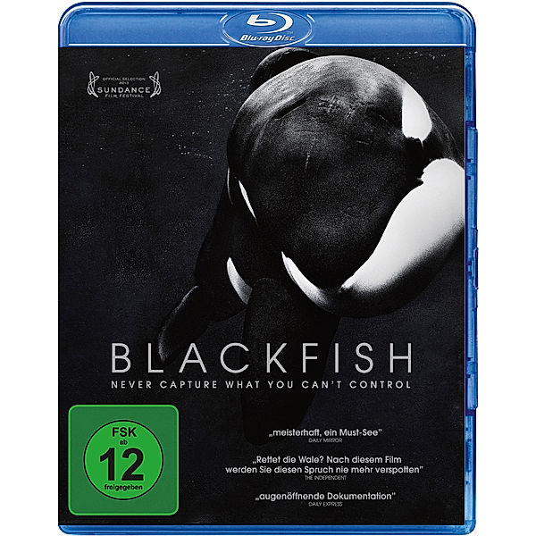 Blackfish, Kim Ashdown, Ken Balcomb