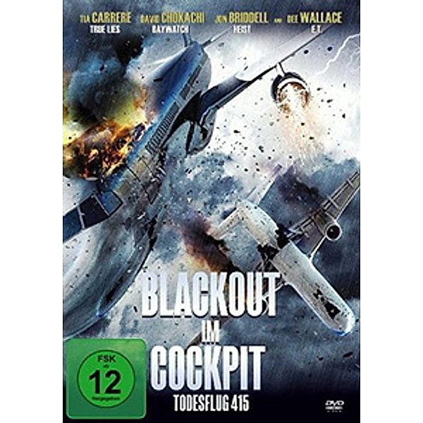 Blackout im Cockpit - Todesflug 415, Tia Carrere, David Chokachi