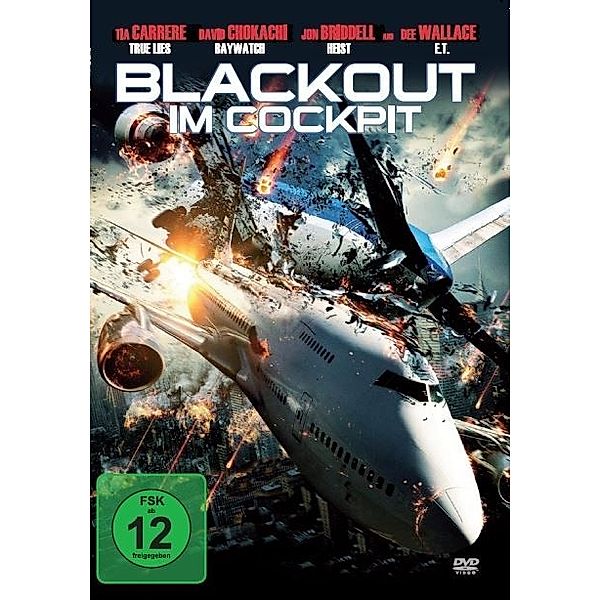 Blackout im Cockpit-Todesflug 415, Chokachi, Carrere, Briddell