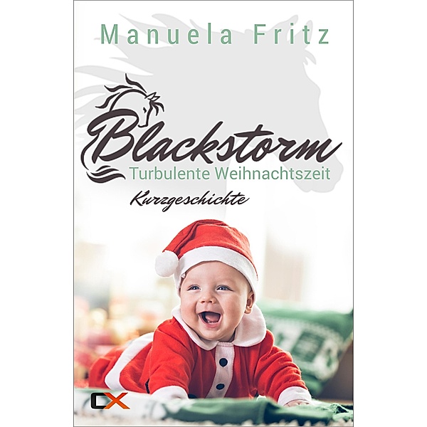 Blackstorm - Turbulente Weihnachtszeit, Manuela Fritz