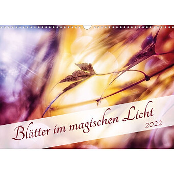 Blätter im magischen Licht (Wandkalender 2022 DIN A3 quer), Nicc Koch