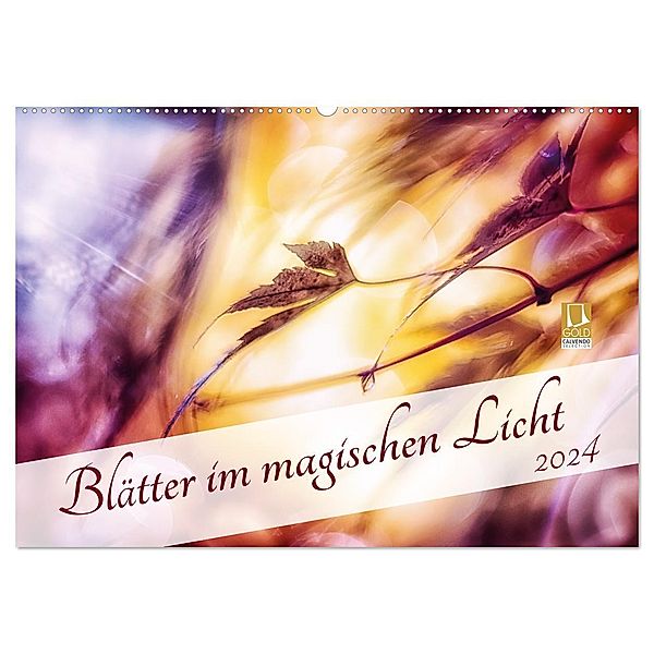 Blätter im magischen Licht (Wandkalender 2024 DIN A2 quer), CALVENDO Monatskalender, Nicc Koch