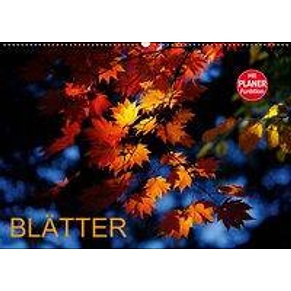 Blätter (Wandkalender 2019 DIN A2 quer), Anette Jäger
