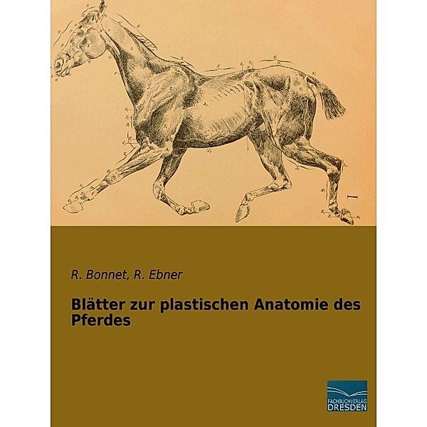 Blätter zur plastischen Anatomie des Pferdes, R. Bonnet, R. Ebner