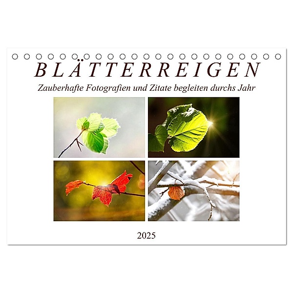 Blätterreigen (Tischkalender 2025 DIN A5 quer), CALVENDO Monatskalender, Calvendo, Sabine Löwer