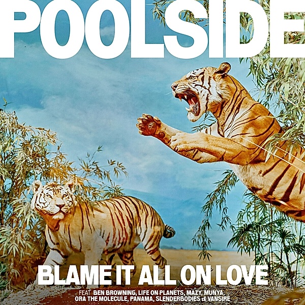 Blame It All On Love, Poolside