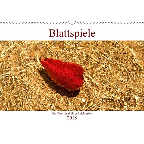 Blattspiele - Die Natur in all ihrer Leichtigkeit (Wandkalender 2018 DIN A3 quer), Sylvia Seibl