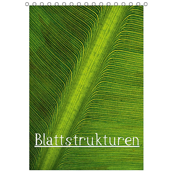 Blattstrukturen (Tischkalender 2019 DIN A5 hoch), Herbert Boekhoff