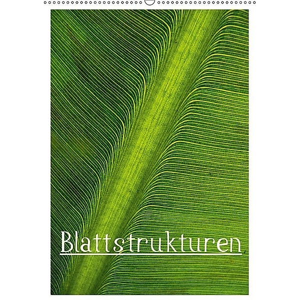Blattstrukturen (Wandkalender 2017 DIN A2 hoch), Herbert Boekhoff